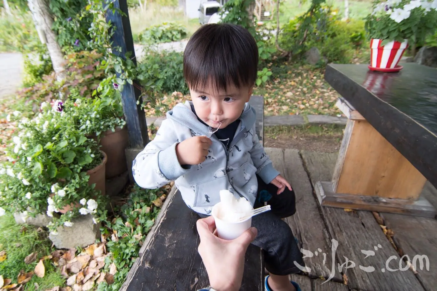 170929_IMGP6181