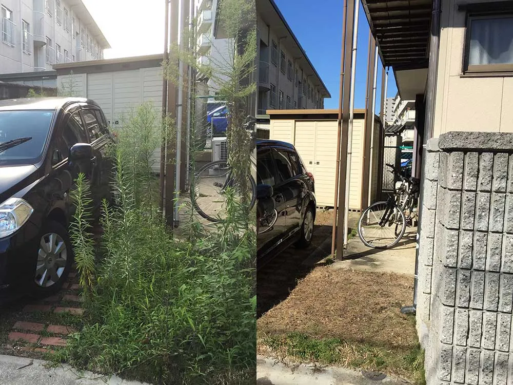 beforeafter