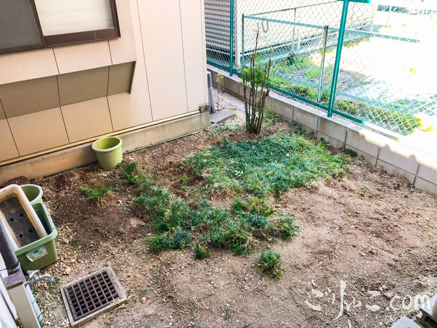 garden_reform-12
