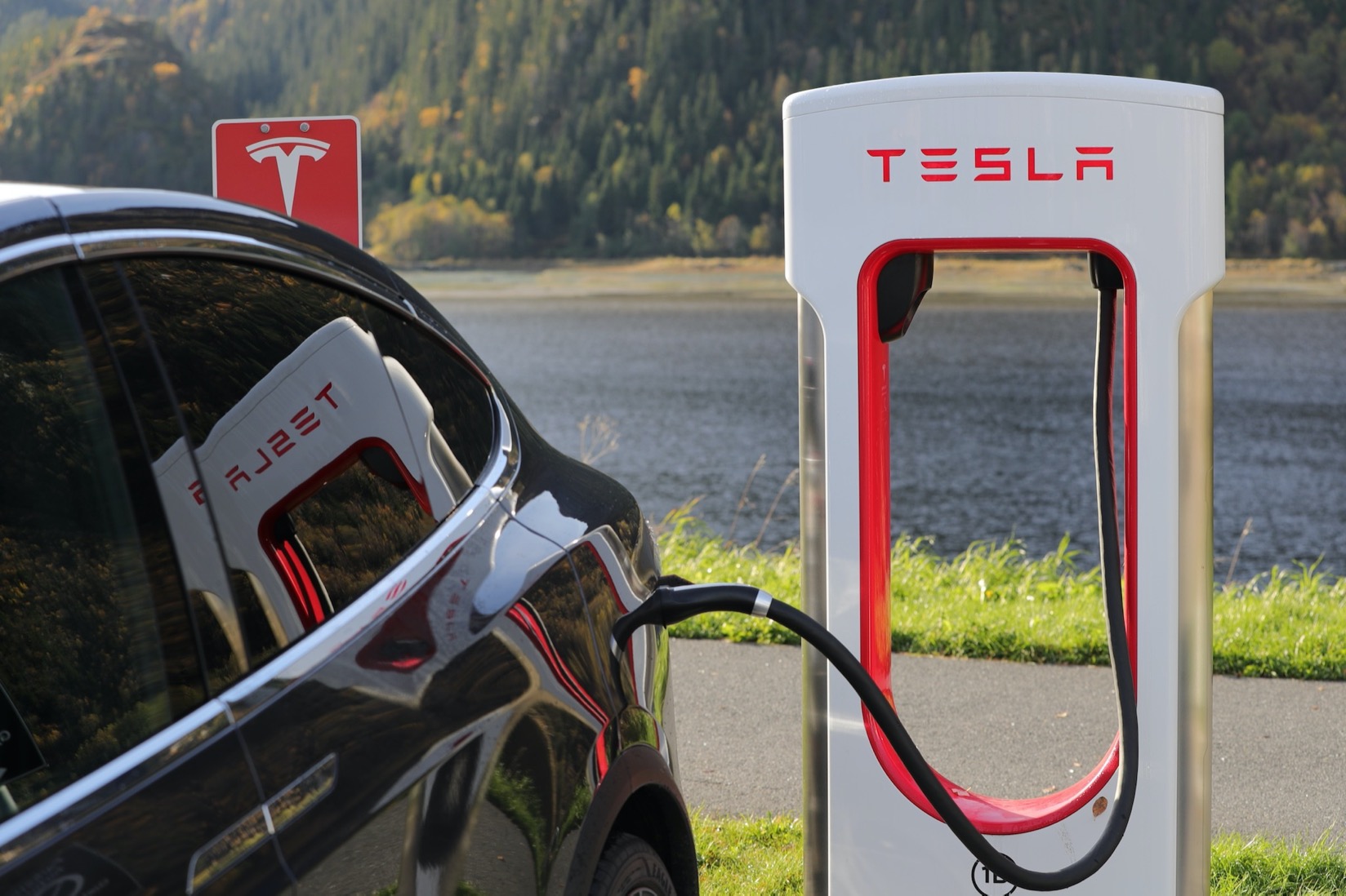 200123_tesla-1738969%E3%81%AE%E3%82%B3%E3%83%92%E3%82%9A%E3%83%BC